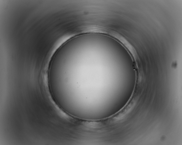 X0000103281293200809051522