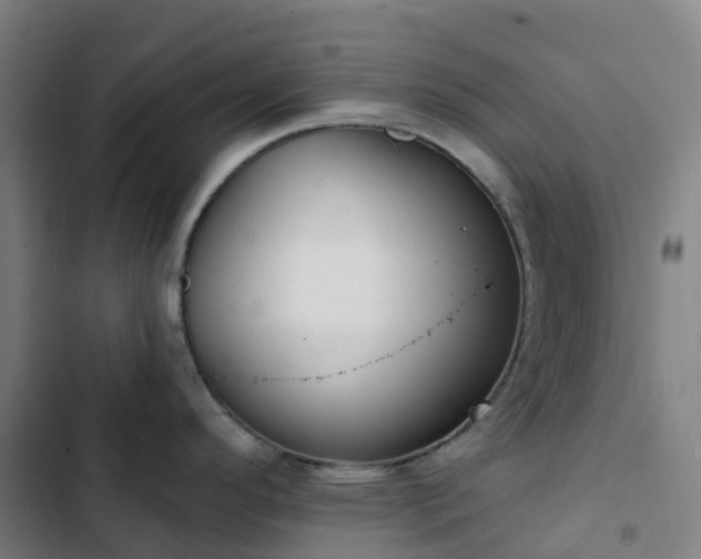 X0000103281296200809051522