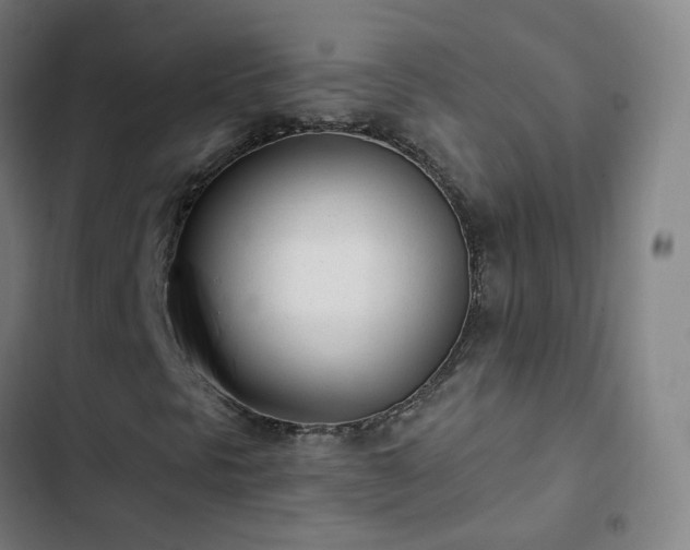 X0000103281297200809051521