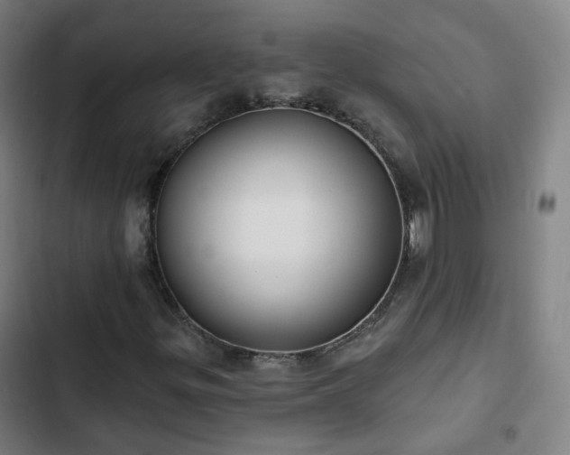 X0000103281299200809051521