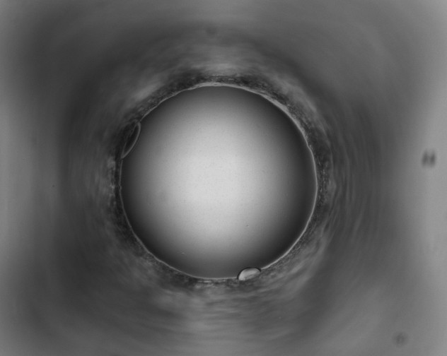 X0000103281301200809051521