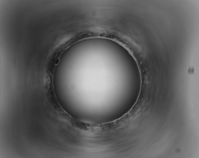 X0000103281302200809051521