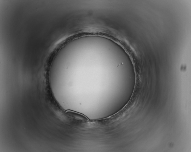 X0000103281304200809051521