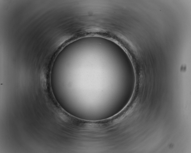 X0000103281305200809051521