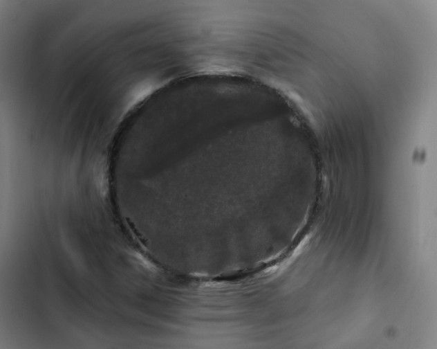 X0000103281306200809051521