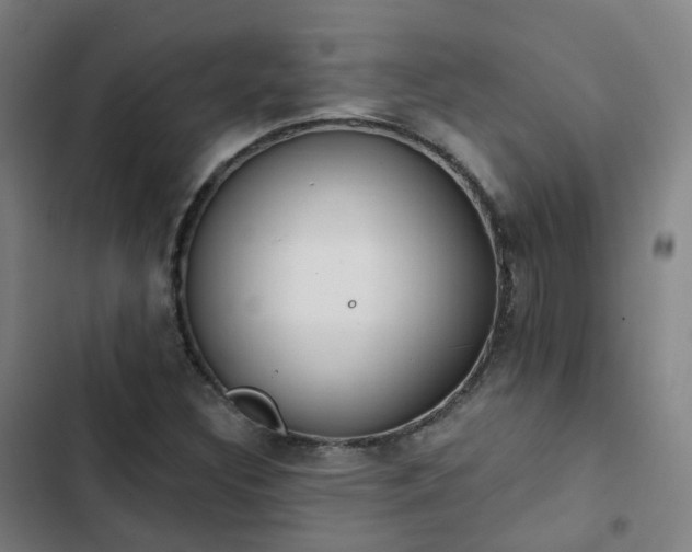 X0000103281308200809051521