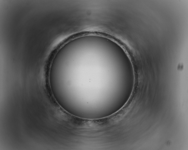 X0000103281311200809051521