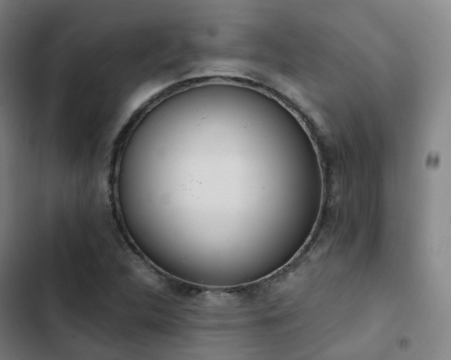 X0000103281312200809051521