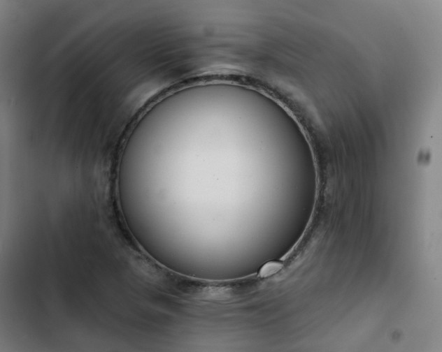 X0000103281313200809051521