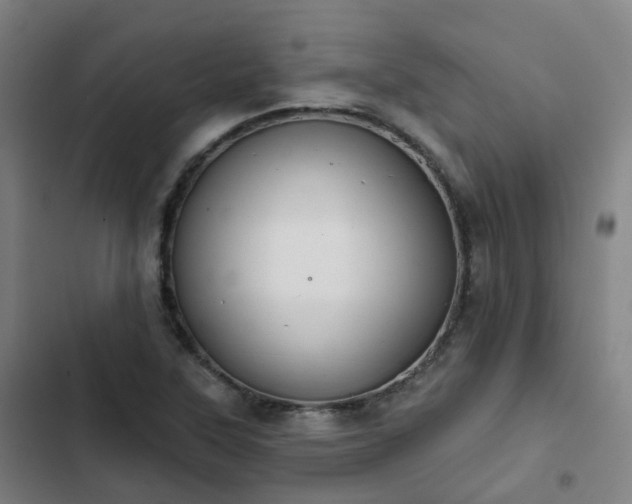 X0000103281315200809051521