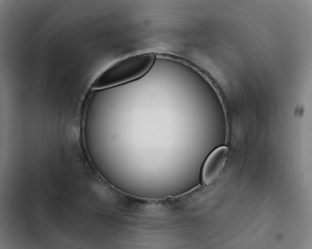 X0000103281316200809051521