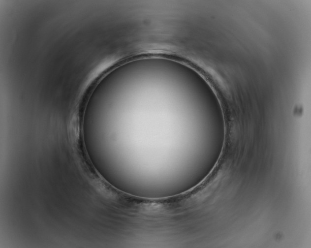 X0000103281317200809051521