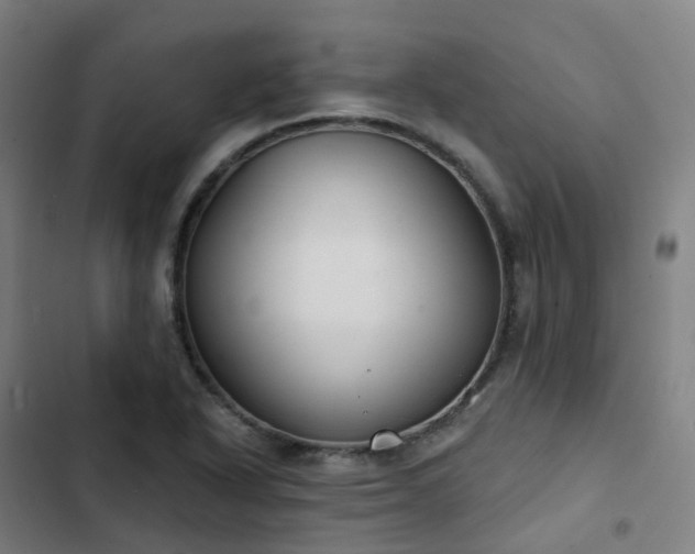 X0000103281318200809051522