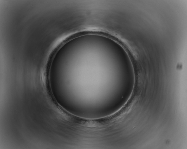 X0000103281319200809051522