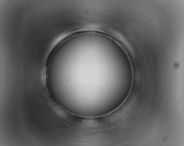 X0000103281320200809051522