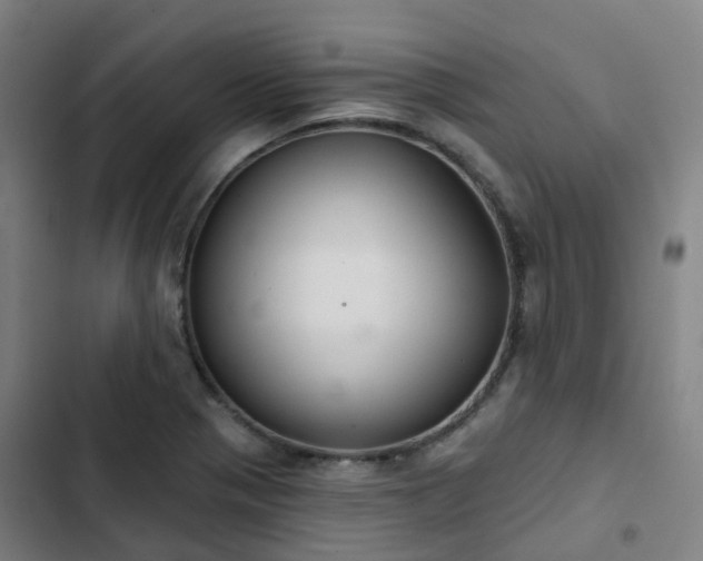 X0000103281321200809051522