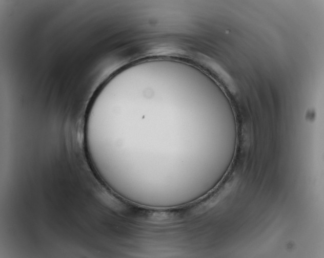 X0000103281322200809051522