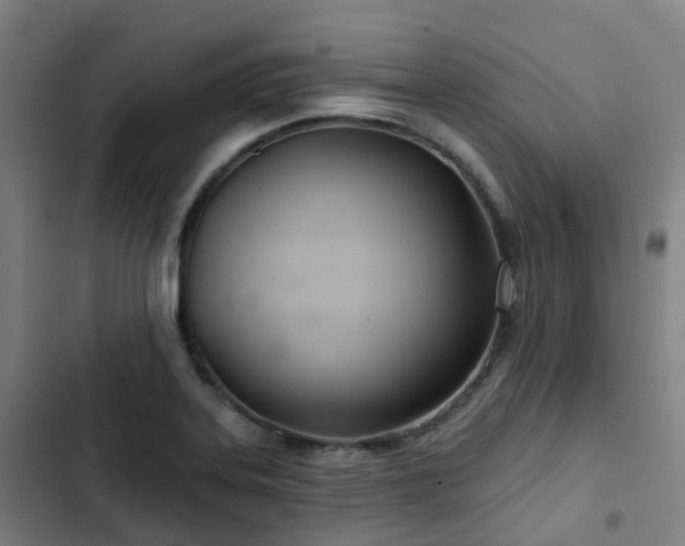 X0000103281323200809051522