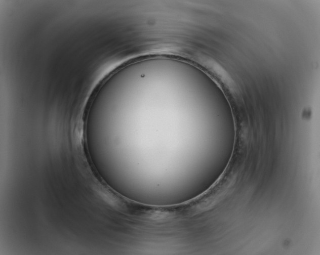 X0000103281324200809051522