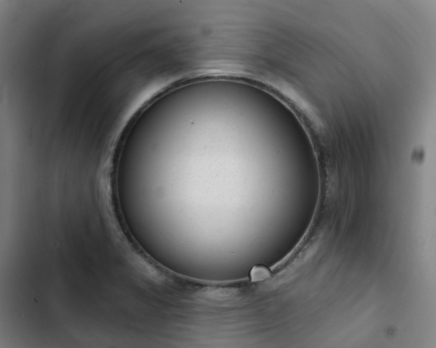 X0000103281325200809051522