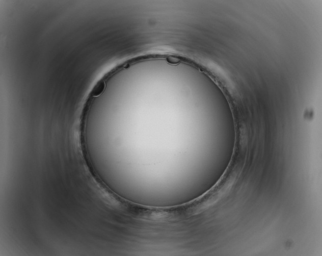 X0000103281326200809051522