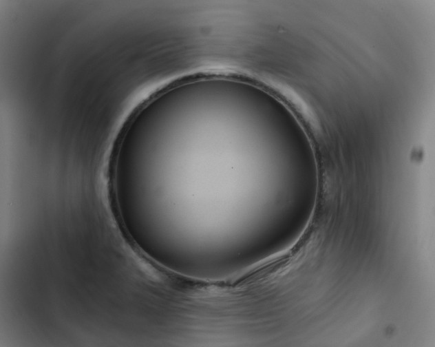 X0000103281327200809051522