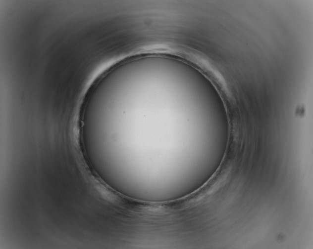 X0000103281328200809051522