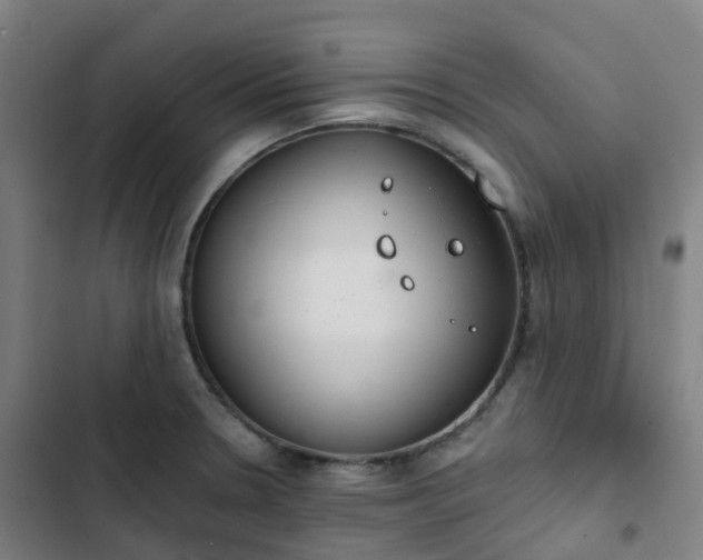 X0000103281330200809051522