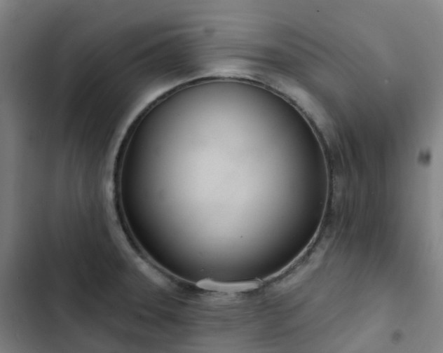 X0000103281331200809051522