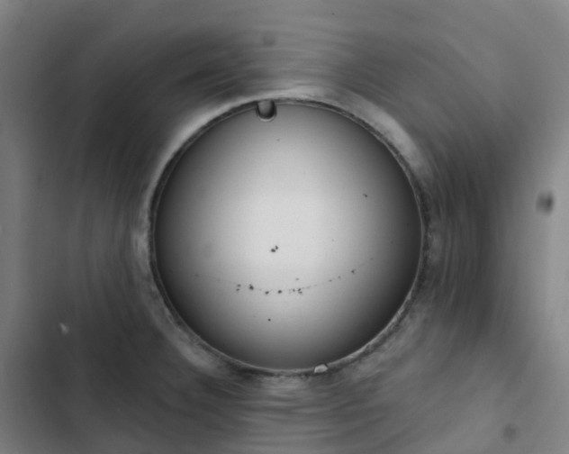 X0000103281332200809051522