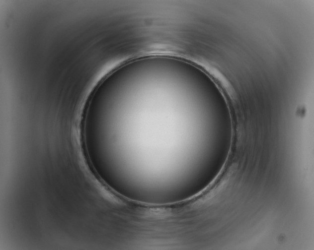 X0000103281333200809051522