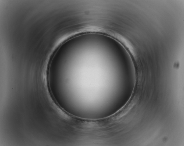 X0000103281334200809051522