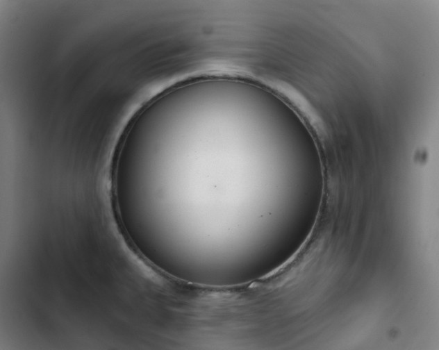 X0000103281335200809051522