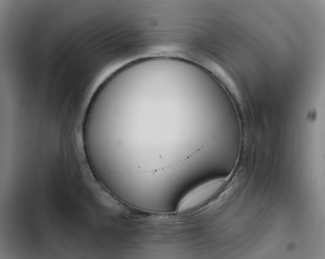 X0000103281336200809051522