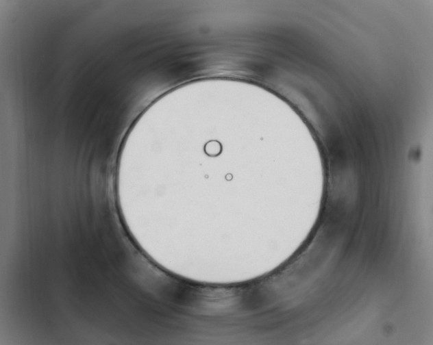 X0000103281338200809051522