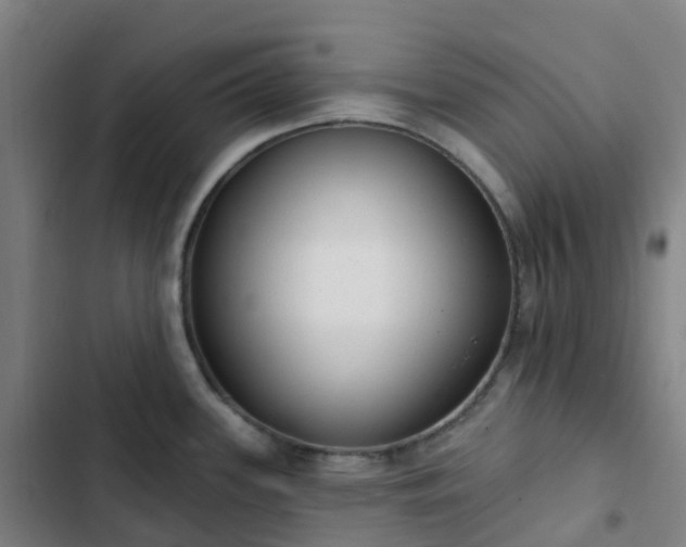 X0000103281339200809051522