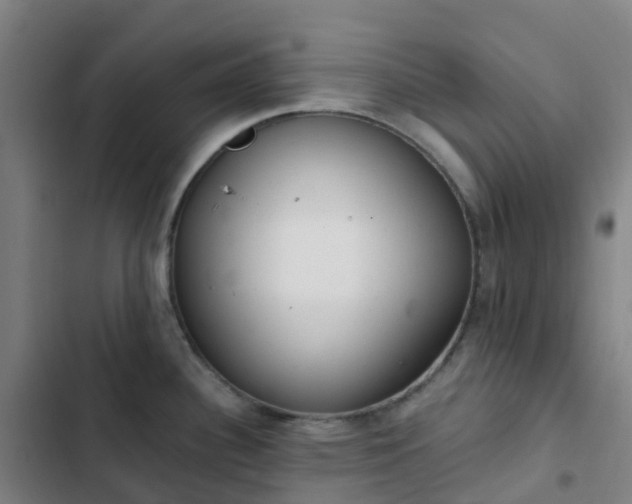 X0000103281340200809051522