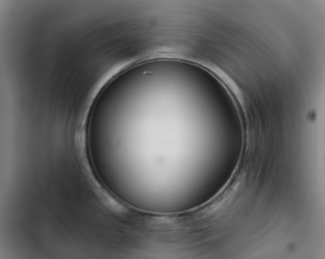 X0000103281341200809051522