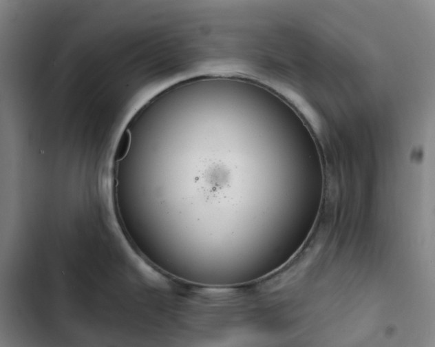 X0000103281343200809051522