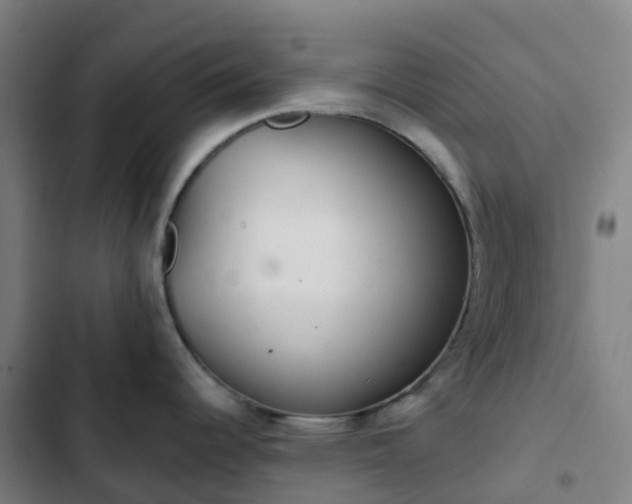 X0000103281344200809051522