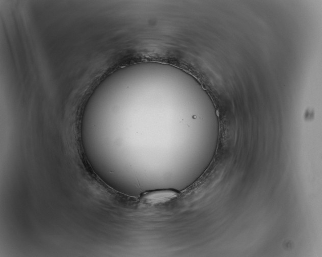 X0000103281345200809051521