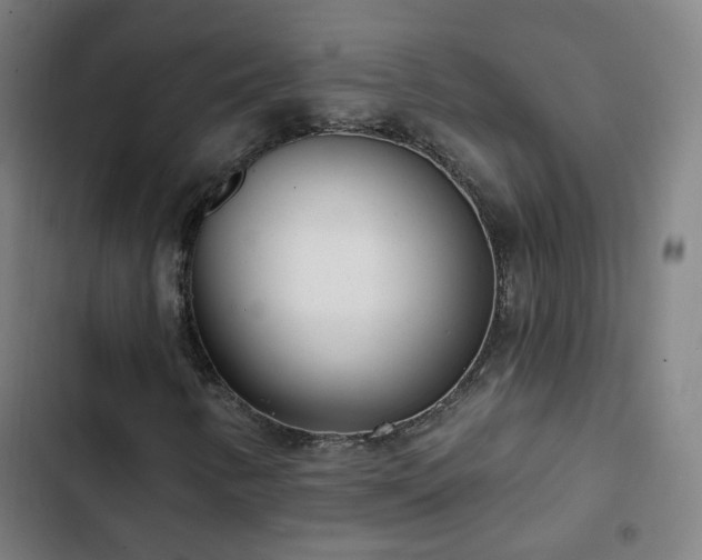 X0000103281346200809051521