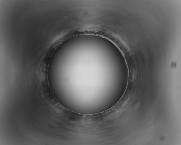 X0000103281350200809051521