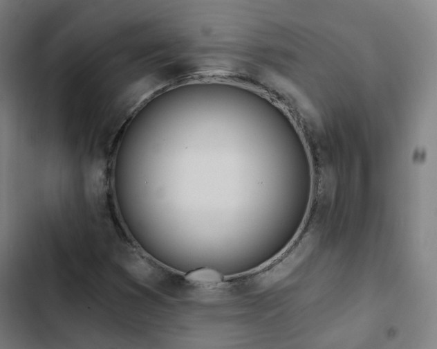 X0000103281353200809051521