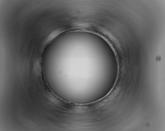 X0000103281354200809051521