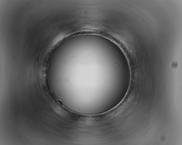 X0000103281355200809051521