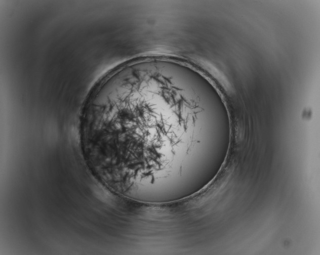 X0000103281356200809051521