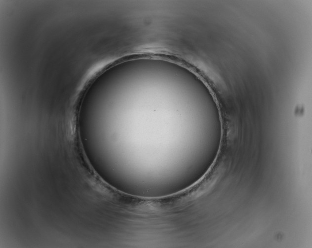 X0000103281358200809051521