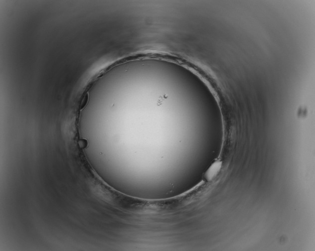 X0000103281359200809051521