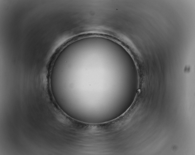 X0000103281360200809051521